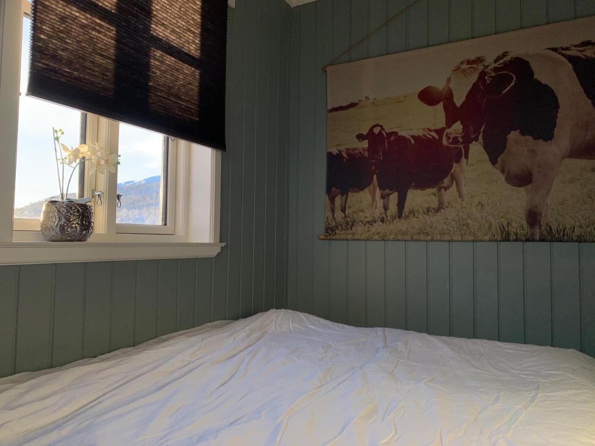 Lemonsjoen-Jotunheimen-Besseggen Villa Stuttgongfossen ภายนอก รูปภาพ